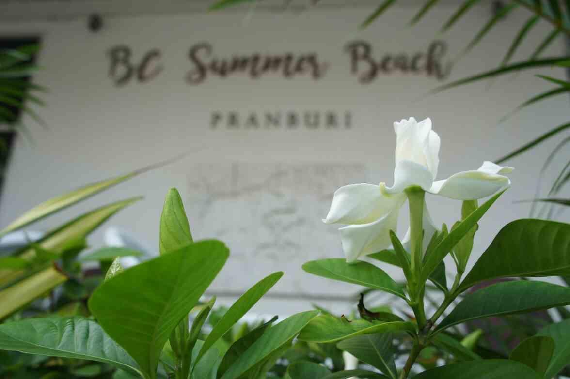 Bc Summer Beach Pran Buri Luaran gambar